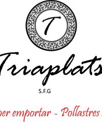 Triaplats comida para llevar Sant Feliu de Guixols