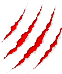 Animalhome Mascotas El Prat-pruebacambiosaaa