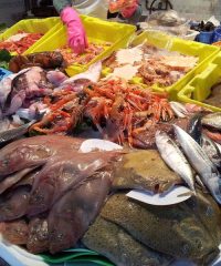 Peix Fresc i Marisc Gloria