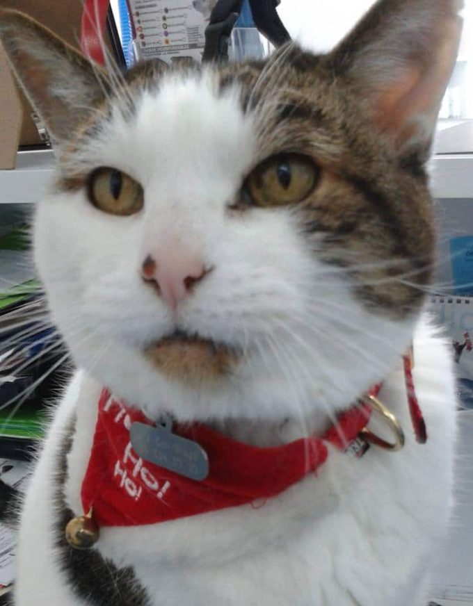 Centre Veterinari Can Dragó Barcelona