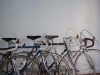Bicicletas Clasicas Barcelona