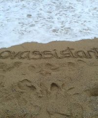 Innovassitant Asistenta Virtual Sant Just