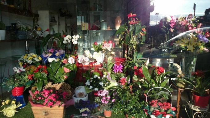 Acanto Floristeria Sant Feliu de Guixols