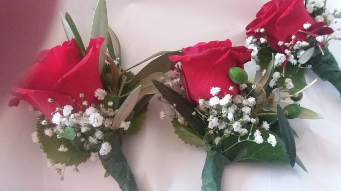 Acanto Floristeria Sant Feliu de Guixols