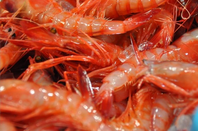 Peixitus pescaderia Sant Feliu de Guixols