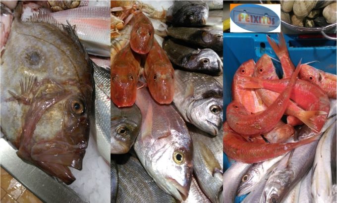 Peixitus pescaderia Sant Feliu de Guixols