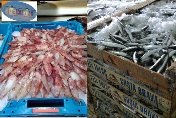 Peixitus pescaderia Sant Feliu de Guixols