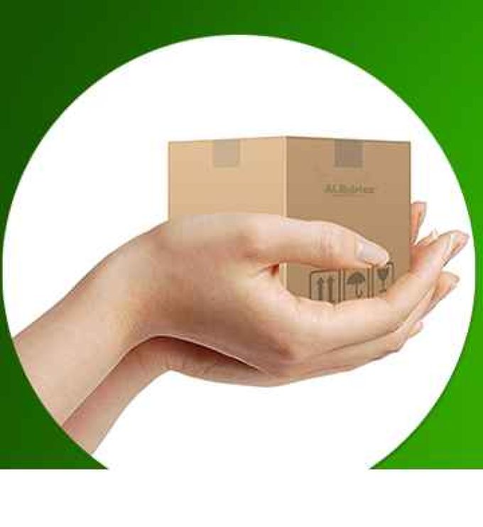 Al. Ibérica Servicio Exprés L’Hospitalet