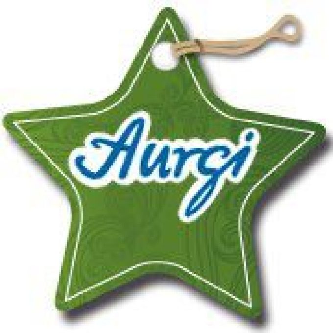 Aurgi Mecánica Rápida Sant Boi De Llobregat