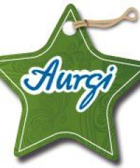 Aurgi Mecánica Rápida Sant Boi De Llobregat