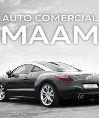Auto Comercial MAAM L’Hospitalet