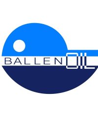 Gasolinera Ballenoil Sant Boi De Llobregat