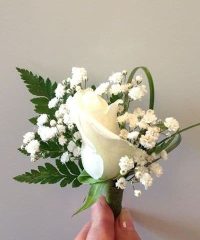 Boix Bertran Flors Plantes Platja D’Aro