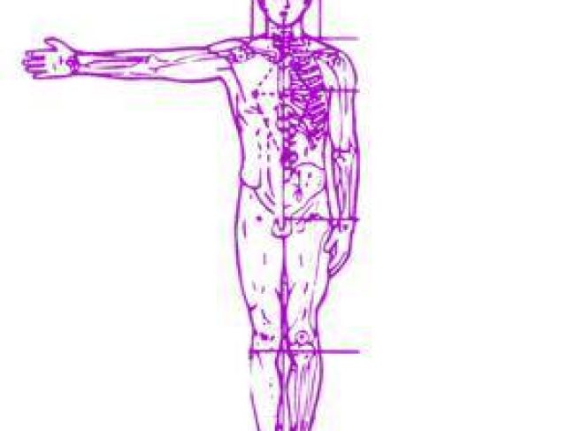 Centro de Fisioterapia Yumbo Tenerife