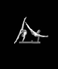 Club Gimnàstic Sant Boi De Llobregat