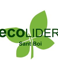 Ecolider Soluciones Informáticas Sant Boi De Llobregat