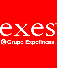 Exes Grupo Expofincas Inmobiliaria L’Hospitalet