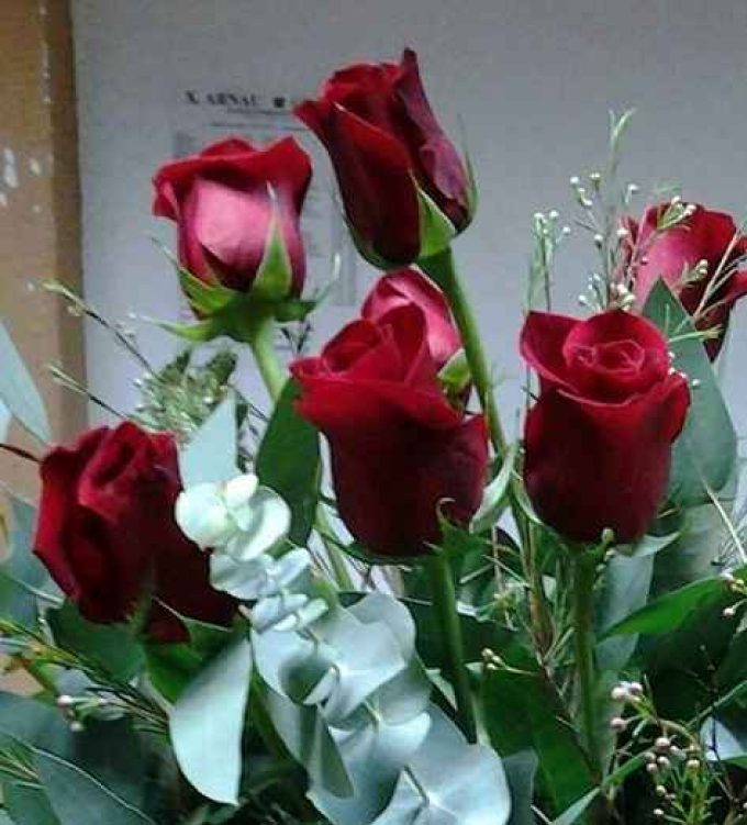 Floristería Rovira L’Hospitalet