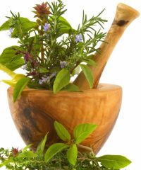 Herboreum Herbodietética L’Hospitalet