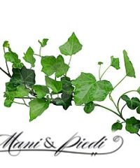 Mani & Piedi Estética L’Hospitalet