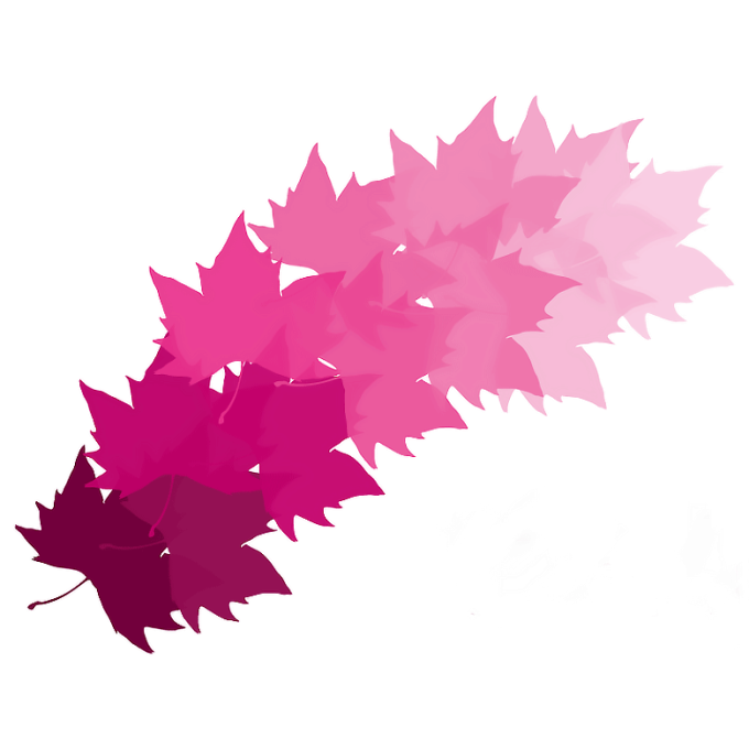 Naturaleza Sabia Cosmética Natural Sant Boi De Llobregat