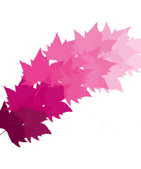 Naturaleza Sabia Cosmética Natural Sant Boi De Llobregat