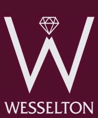 Wesselton Costa Brava Joyería Platja D’Aro