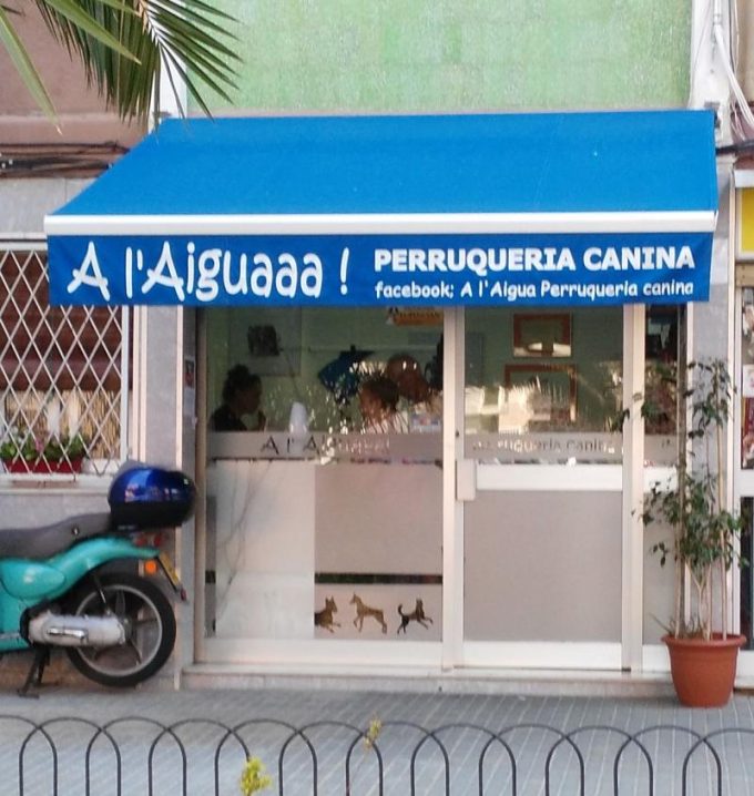 guia33-cornella-animales-mascotas-peluqueria-canina-a-l-aigua-perruqueria-canina-cornella-15197.jpg