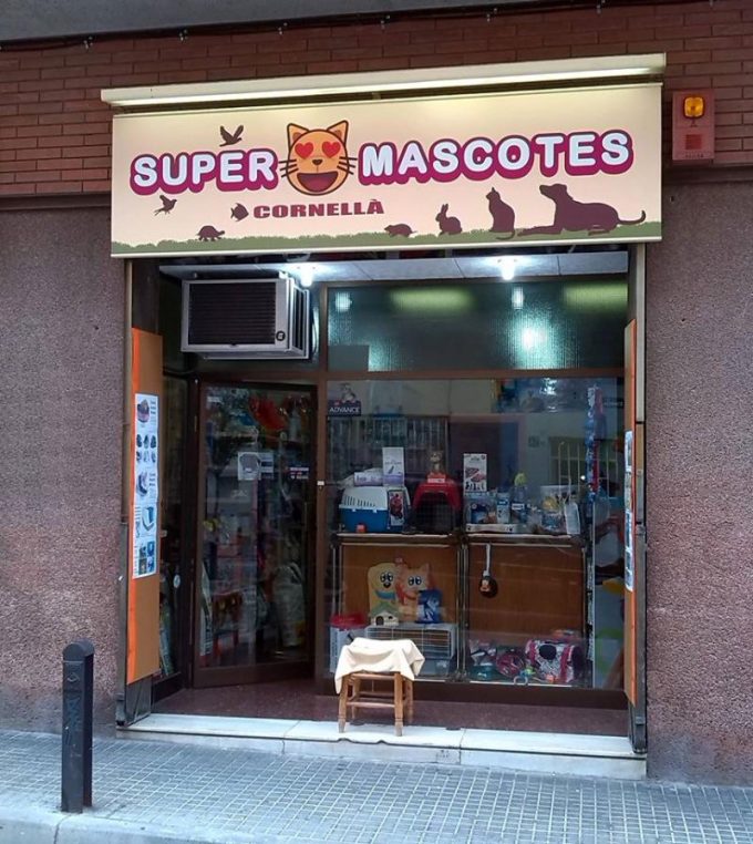 guia33-cornella-animales-mascotas-peluqueria-canina-supermascotes-cornella-23653.jpg