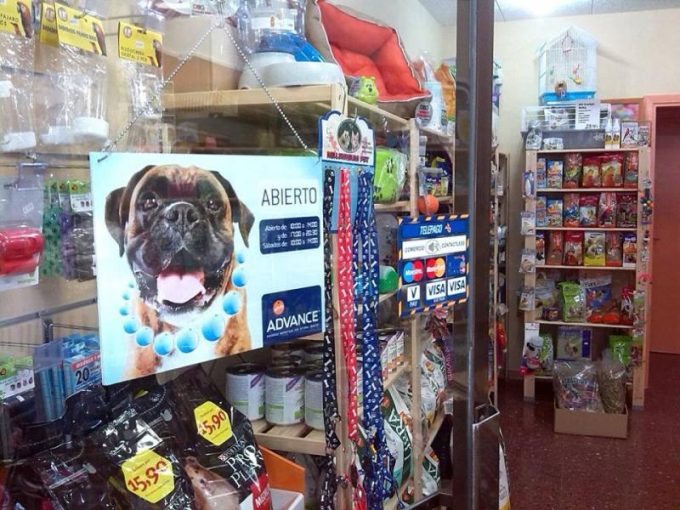 guia33-cornella-animales-mascotas-peluqueria-canina-supermascotes-cornella-23654.jpg