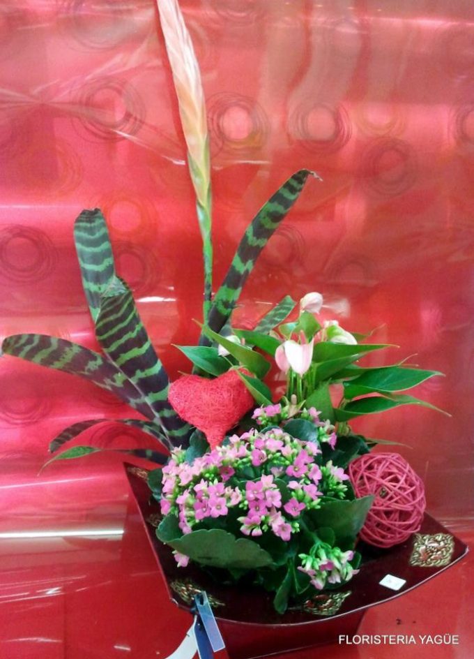 guia33-cornella-floristeria-jardineria-floristeria-yague-cornella-16531.jpg