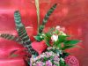 guia33-cornella-floristeria-jardineria-floristeria-yague-cornella-16531.jpg