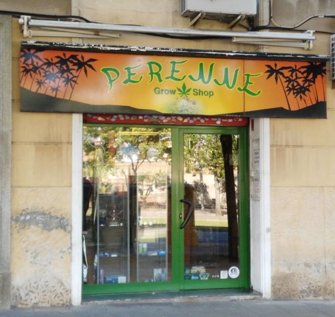 guia33-cornella-grow-shop-grow-shop-perenne-cornella-15405.jpg