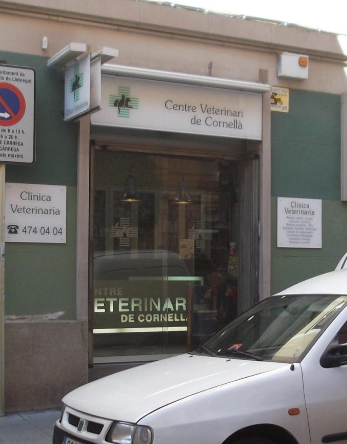 guia33-cornella-veterinario-centre-veterinari-de-cornella-13587.jpg