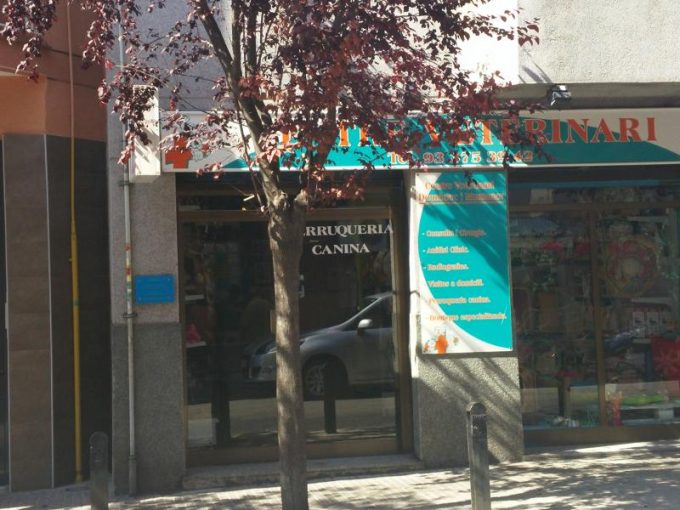 guia33-cornella-veterinario-centre-veterinari-domenech-i-montaner-cornella-15601.jpg