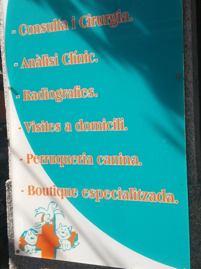 guia33-cornella-veterinario-centre-veterinari-domenech-i-montaner-cornella-15602.jpg