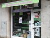 guia33-el-prat-de-llobregat-animales-mascotas-peluqueria-canina-animalhome-mascotas-el-prat-16138.jpg