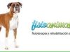 guia33-el-prat-de-llobregat-animales-mascotas-peluqueria-canina-fisioanimalia-el-prat-24699.jpg