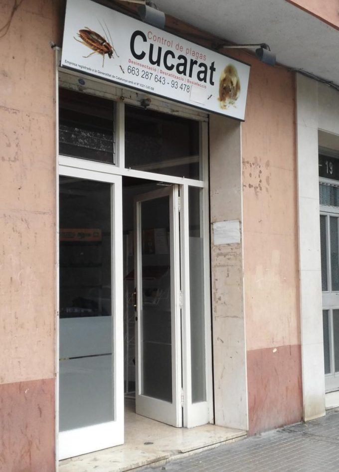 guia33-el-prat-de-llobregat-control-de-plagas-control-de-plagas-cucarat-el-prat-16211.jpg