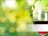 guia33-el-prat-de-llobregat-distribuidor-de-productos-de-hosteleria-bodegas-bel-el-prat-25392.jpg