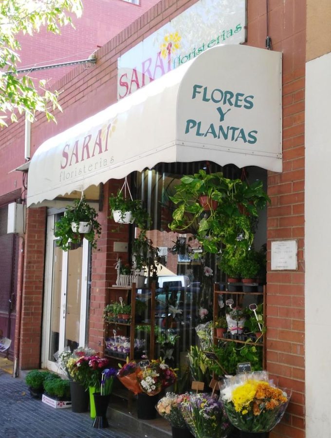 guia33-el-prat-de-llobregat-floristeria-jardineria-floristeria-sarai-el-prat-16068.jpg