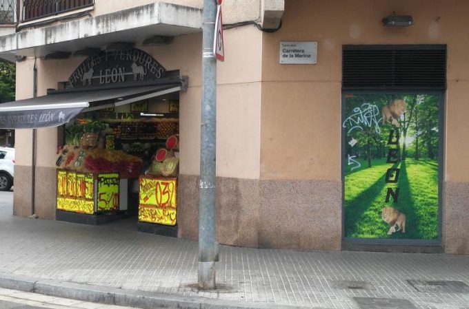 guia33-el-prat-de-llobregat-frutas-verduras-frutas-y-verduras-leon-ctra-marina-el-prat-16172.jpg
