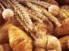 guia33-el-prat-de-llobregat-panaderia-forn-de-pa-l-antic-forn-el-prat-24750.jpg