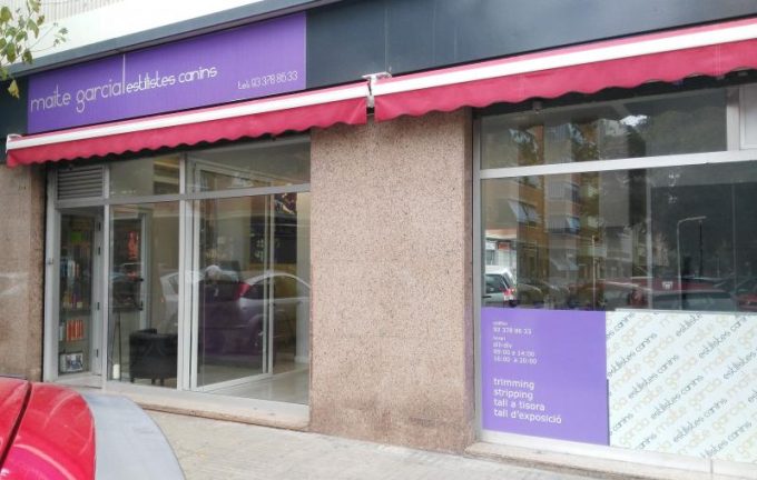 guia33-el-prat-de-llobregat-peluqueria-canina-peluqueria-canina-maite-garcia-el-prat-16257.jpg