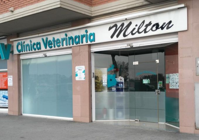 guia33-el-prat-de-llobregat-veterinario-clinica-veterinaria-milton-el-prat-24465.jpg