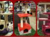 guia33-esplugues-de-llobregat-animales-mascotas-peluqueria-canina-terranova-cnc-44-esplugues-de-llobregat-24059.jpg