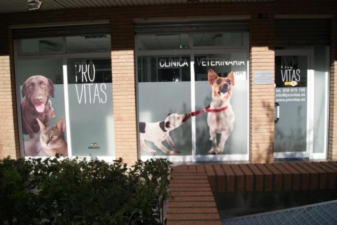 guia33-esplugues-de-llobregat-veterinario-provitas-clinica-veterinaria-esplugues-14441.jpg