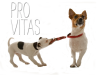 guia33-esplugues-de-llobregat-veterinario-provitas-clinica-veterinaria-esplugues-14442.png