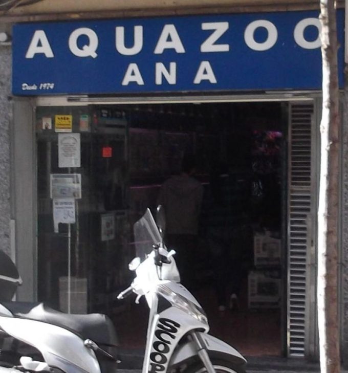 guia33-hospitalet-de-llobregat-animales-mascotas-peluqueria-canina-aquazooana-l-hospitalet-9996.jpg