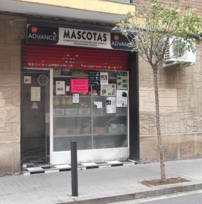 guia33-hospitalet-de-llobregat-animales-mascotas-peluqueria-canina-mascotas-6075.jpg